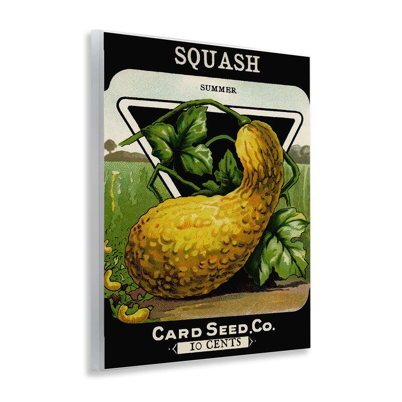 Stupell Vintage Garden Squash Wall Plaque Art Design By Lil' Rue