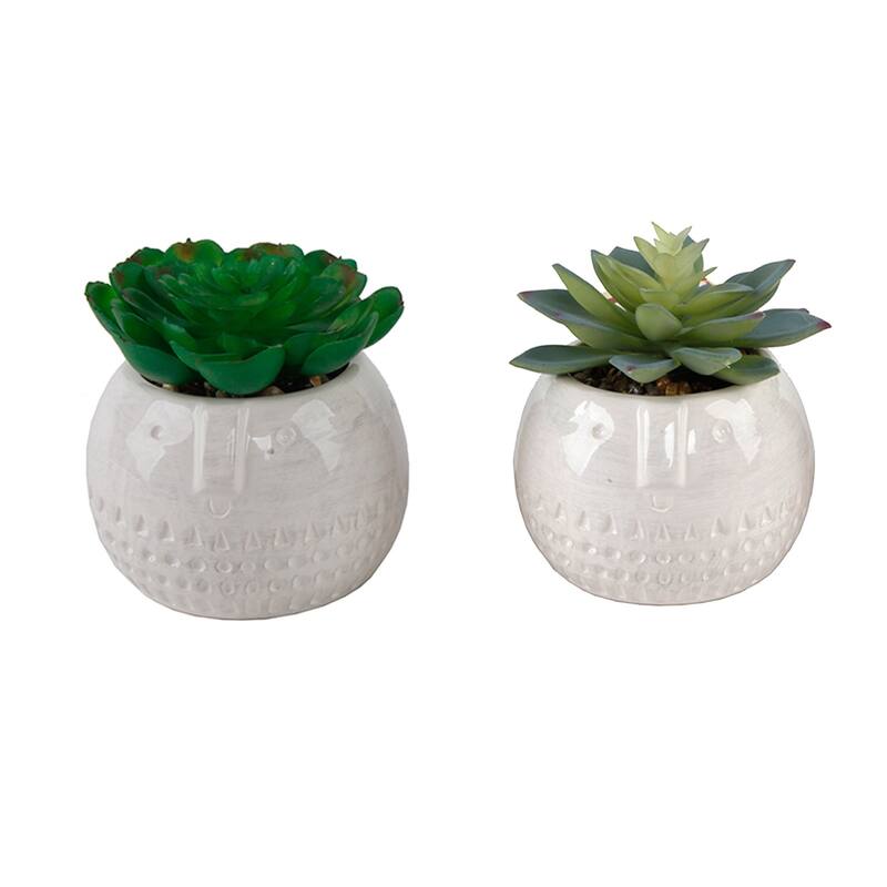 SET OF 2 Faux Succulent in CYLINDER COOL FACECeramic Pot - ONE-SIZE