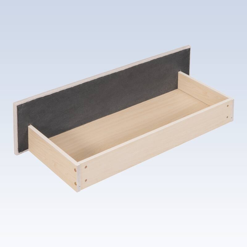 Modern Twin Size Upholstered Daybed with 2 Storage Drawers
