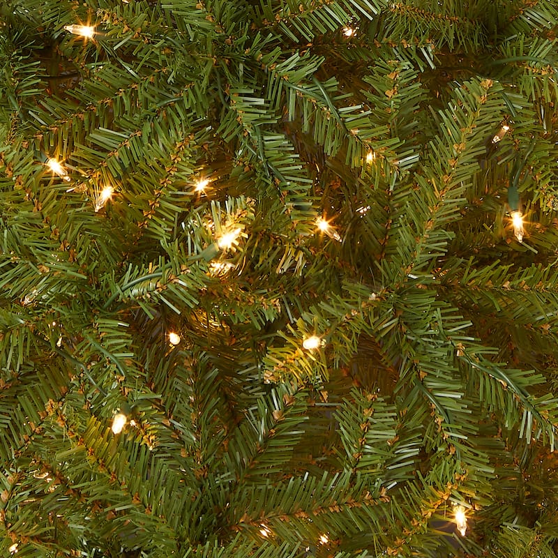 National Tree Company 4 ft. Dunhill Fir Tree with Clear Lights - 4 Foot