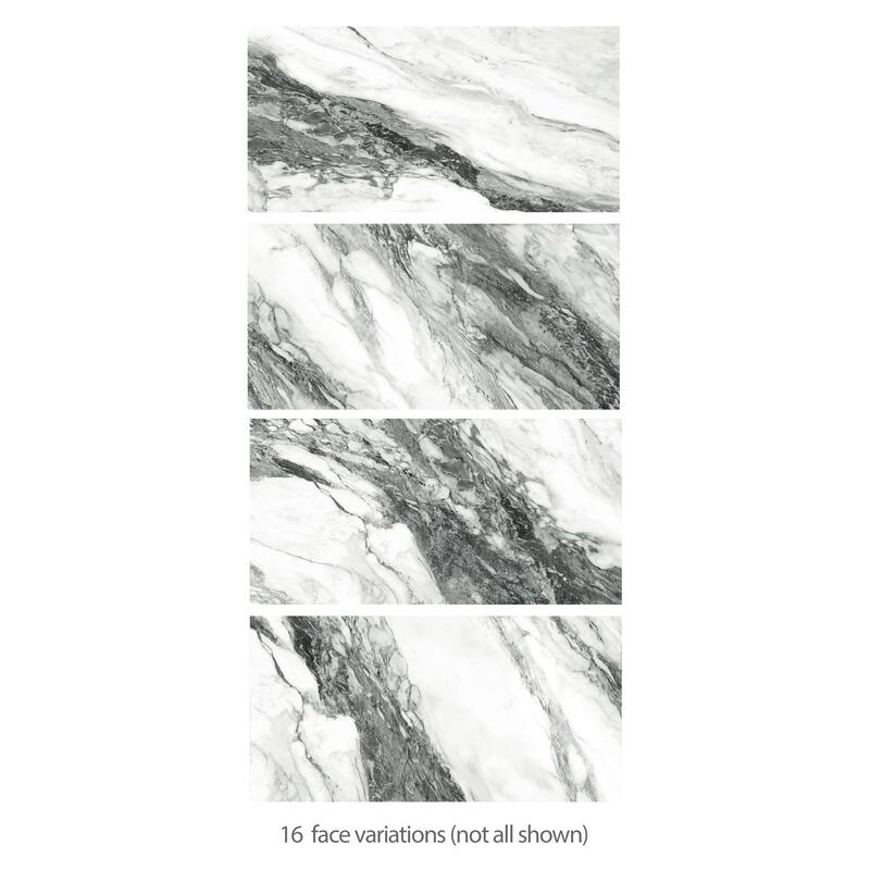Merola Tile Touche Zebre 23-1/2" x 47-1/8" Porcelain Floor and Wall Tile