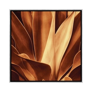 iCanvas "Santa Fe I" by Caroline Kelly Framed