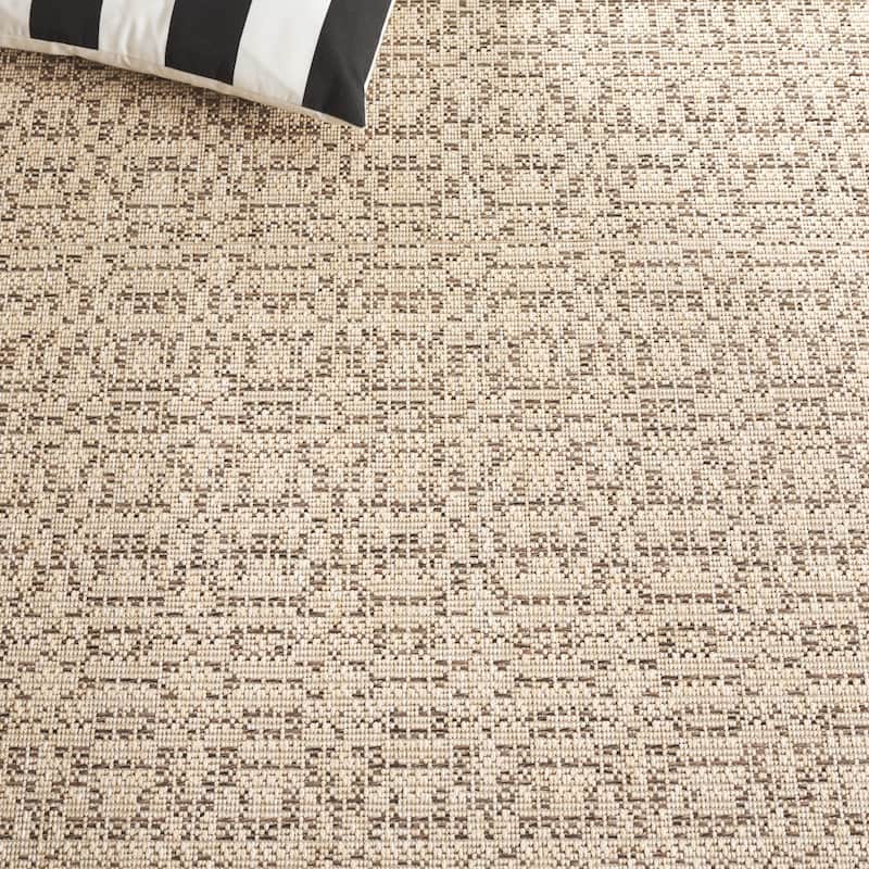 SAFAVIEH Sisal Sneha Performance Indoor/Outdoor Rug