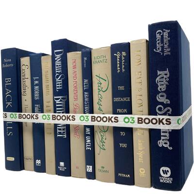Nautical Dreams Decorative Books Navy Blue and Beige - N/A