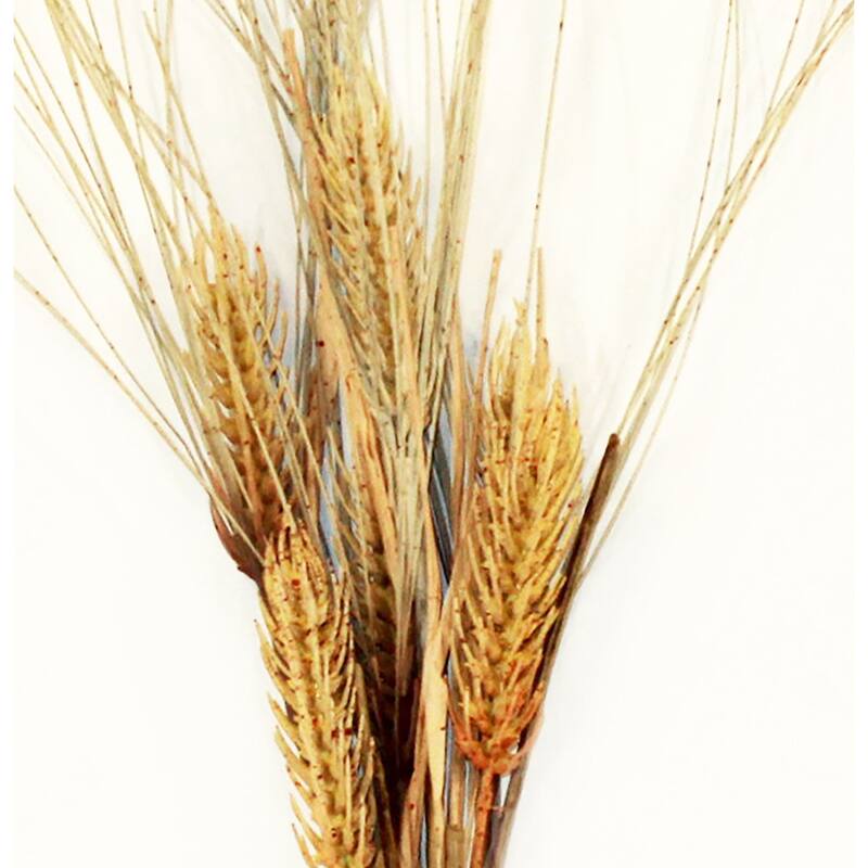 20" Artificial Wheat Spray, Set of 6 - 20