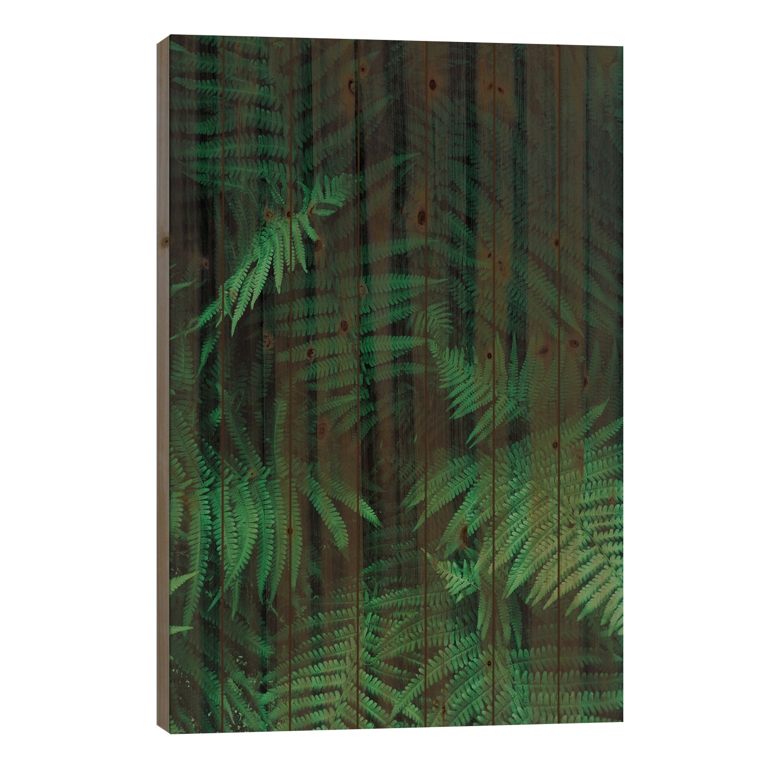 Farns Print On Wood by Sebastian Hilgetag - Multi-Color