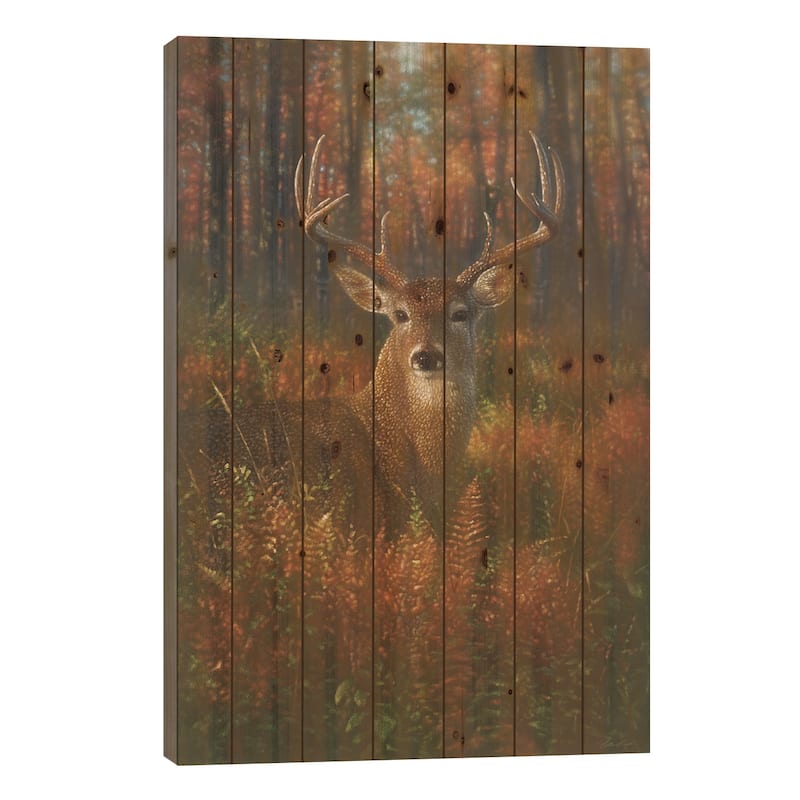 Autumn Buck Whitetail Deer Print On Wood by Collin Bogle - Multi-Color - 40x26x1.5