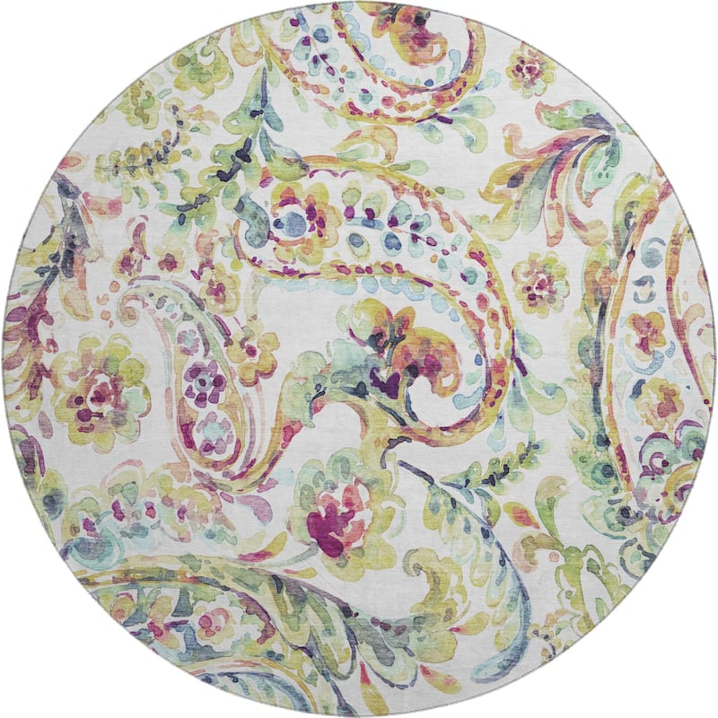 Premium Washable Super Soft Paisley Mayfield Rug