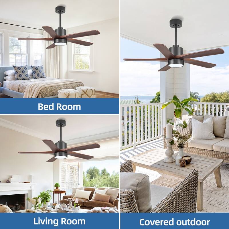 WINGBO 54" and 64" 5 ABS Blades DC Motor Indoor Ceiling Fan with Light & Remote