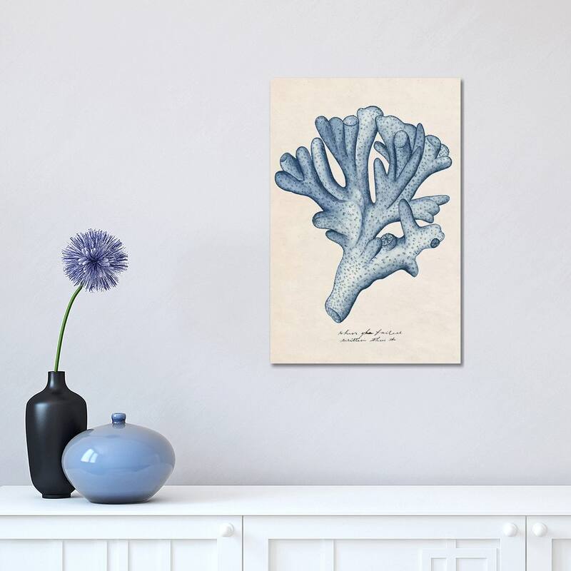 iCanvas "Sea Coral Study I" by Melissa Wang Canvas Print - 18x12x1.5