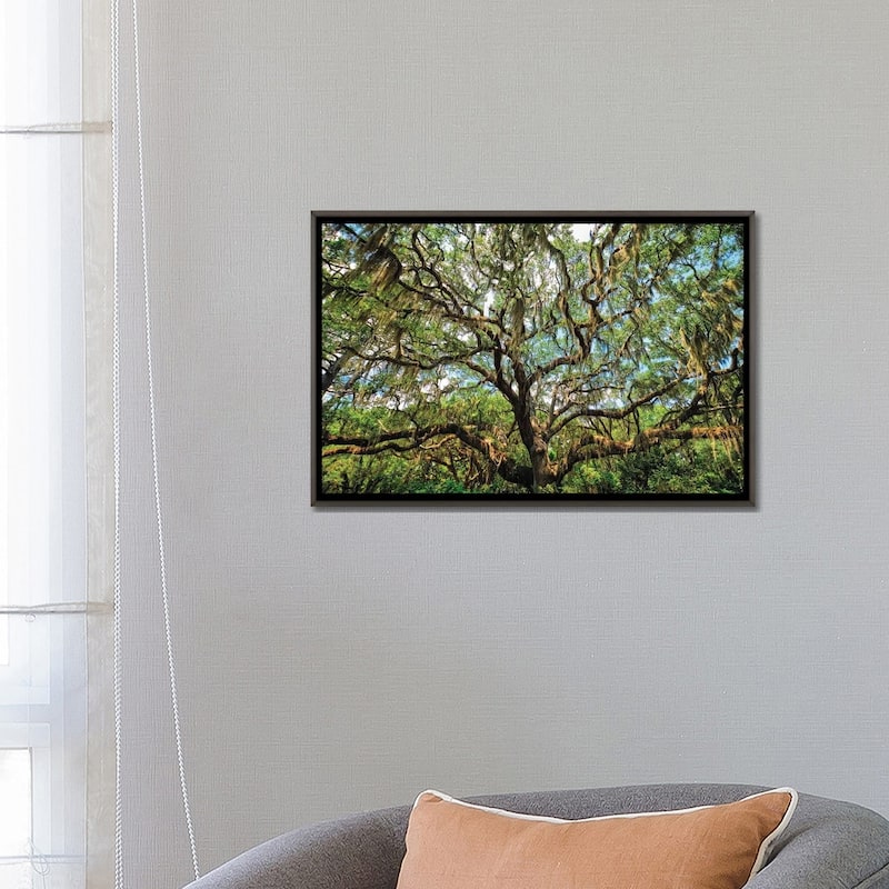iCanvas "Live Oak Tree Canopy With Spanish Moss, Charleston, South Carolina" by George Oze Framed
