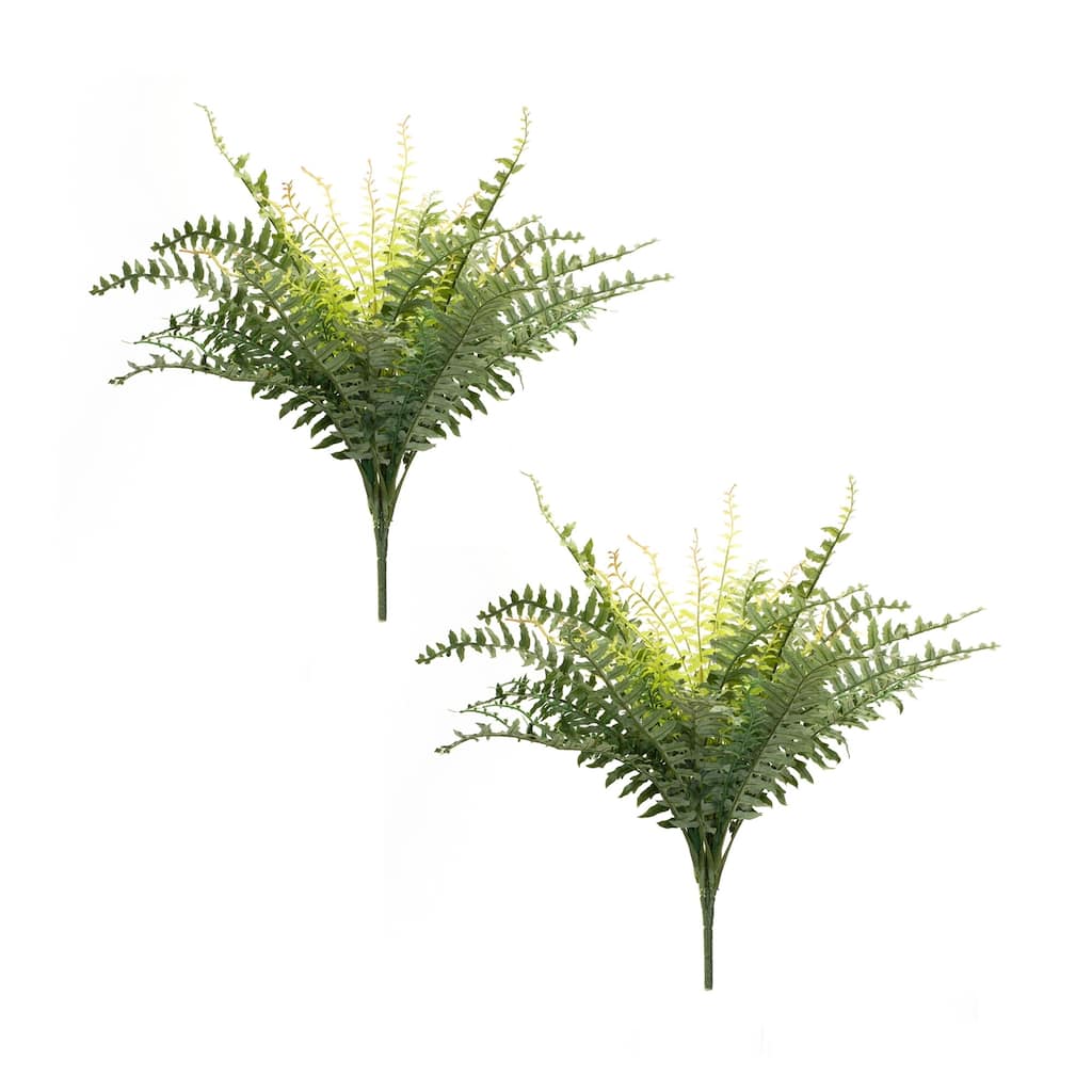 Artificial Variegated Fern Bushes - 22.5" - Set of 2