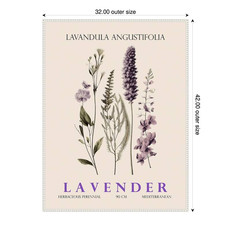 Vintage Botanical Lavender No. 2 Illustration by Christopher Giampietro Framed Canvas Wall Art Print - White - 32 x 42 in