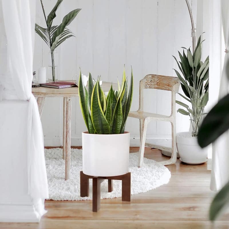 2 Pack Wood Plant Stand - 11.8 x 11.8 x 7 inches - Brown
