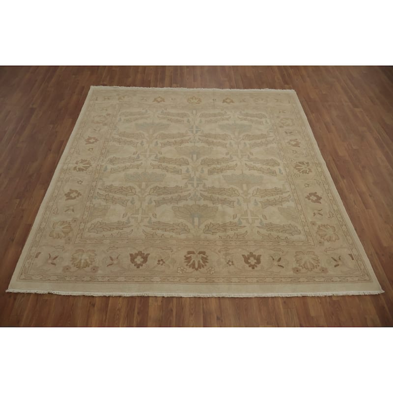 Hand Knotted Oriental 100% Wool Carpet Traditional All-Over Beige & Ivories Ziegler Area Rug - 8' 3'' X 7' 9''