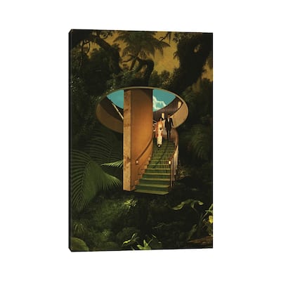 iCanvas "Into The Wild" by Fran Rodriguez Canvas Print