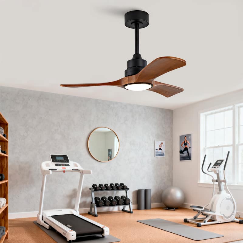 36-Inch Ceiling Fan Light with 6-Speed Remote Control, Black Three-Blade, Reversible Wooden Fan Blades, DC Motor