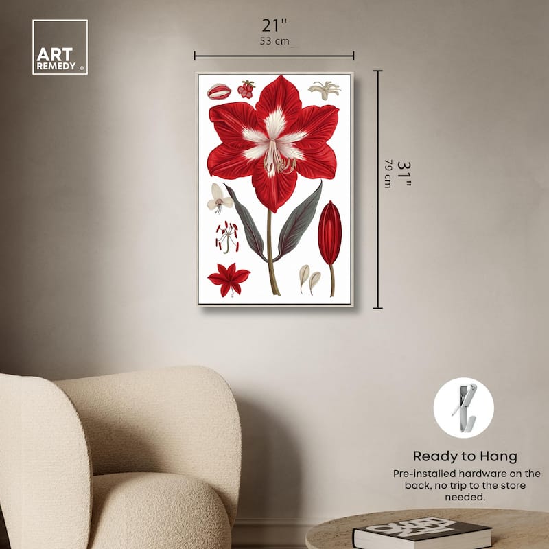 Amaryllis Anatomy Canvas by Art Remedy