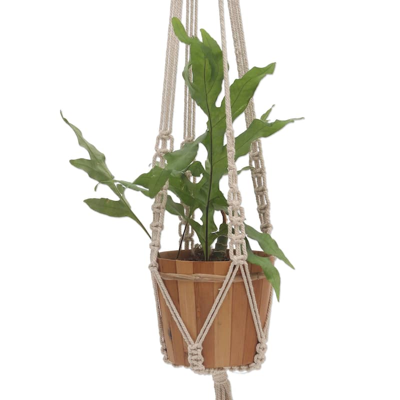 Novica Handmade Pure Home Cotton Macrame Flower Pot Hanger