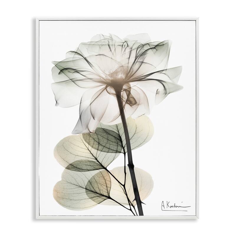 Stupell Modern Minimalist Buds Framed Giclee Art Design By Albert Koetsier - 11 x 14 - White
