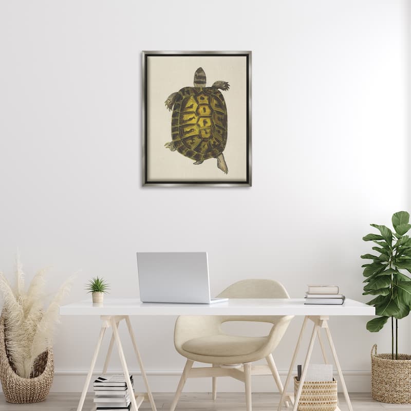 Stupell Vintage Maritime Tortoise Framed Floater Canvas Wall Art Design By Phillipa Katz