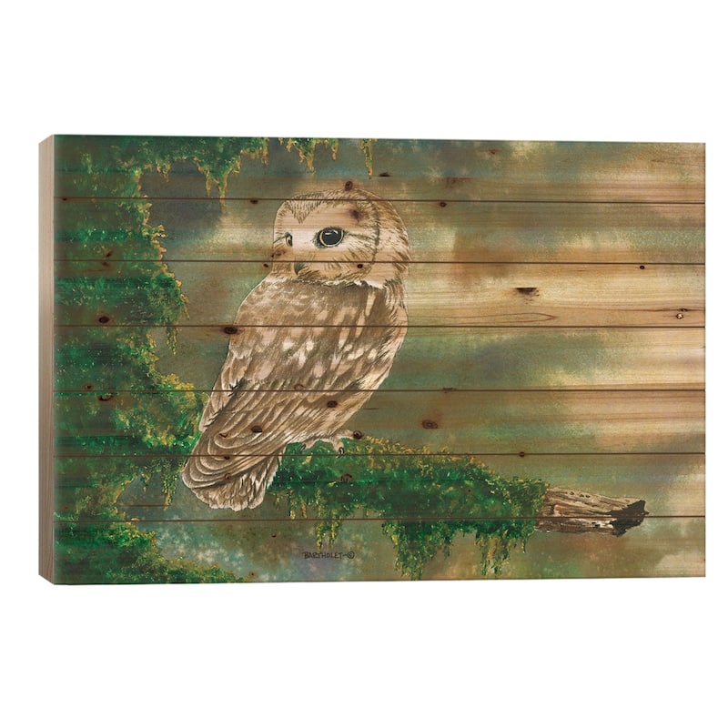 Saw Whet Owl Print On Wood by Dave Bartholet - Multi-Color - 18x26x1.5