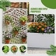 preview thumbnail 96 of 103, 72 in Metal Movable Planter Box with Trellis Privacy Screen Lockable Wheels