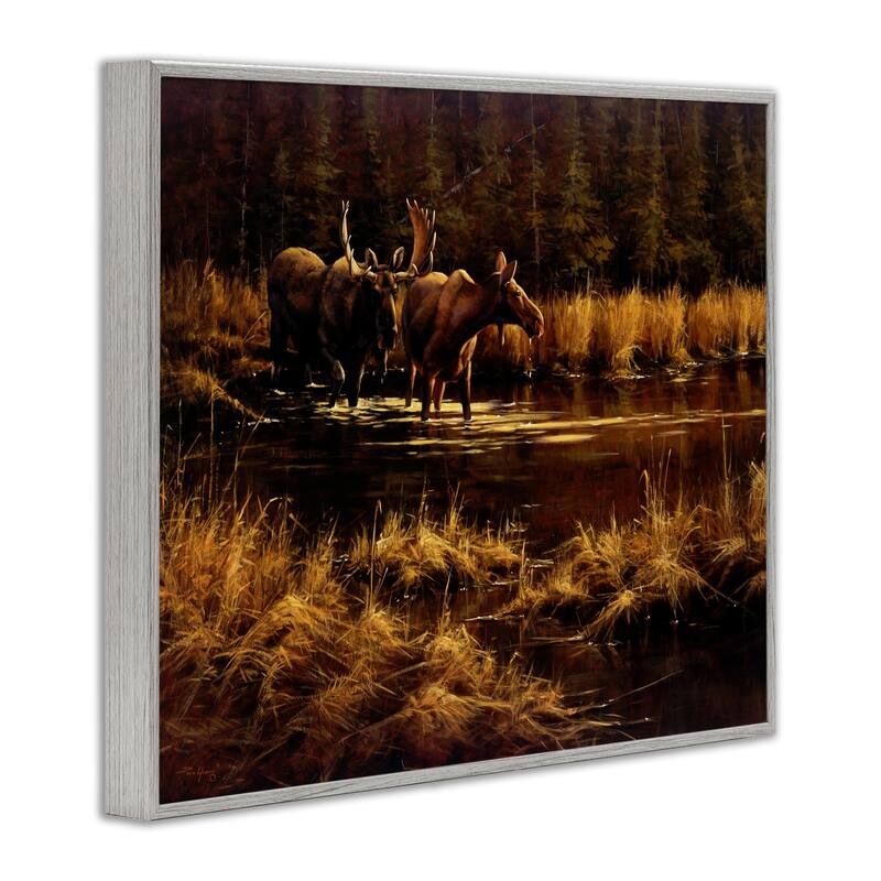 Stupell Moose Pair at Stream Framed Giclee Art Design By Paco Young