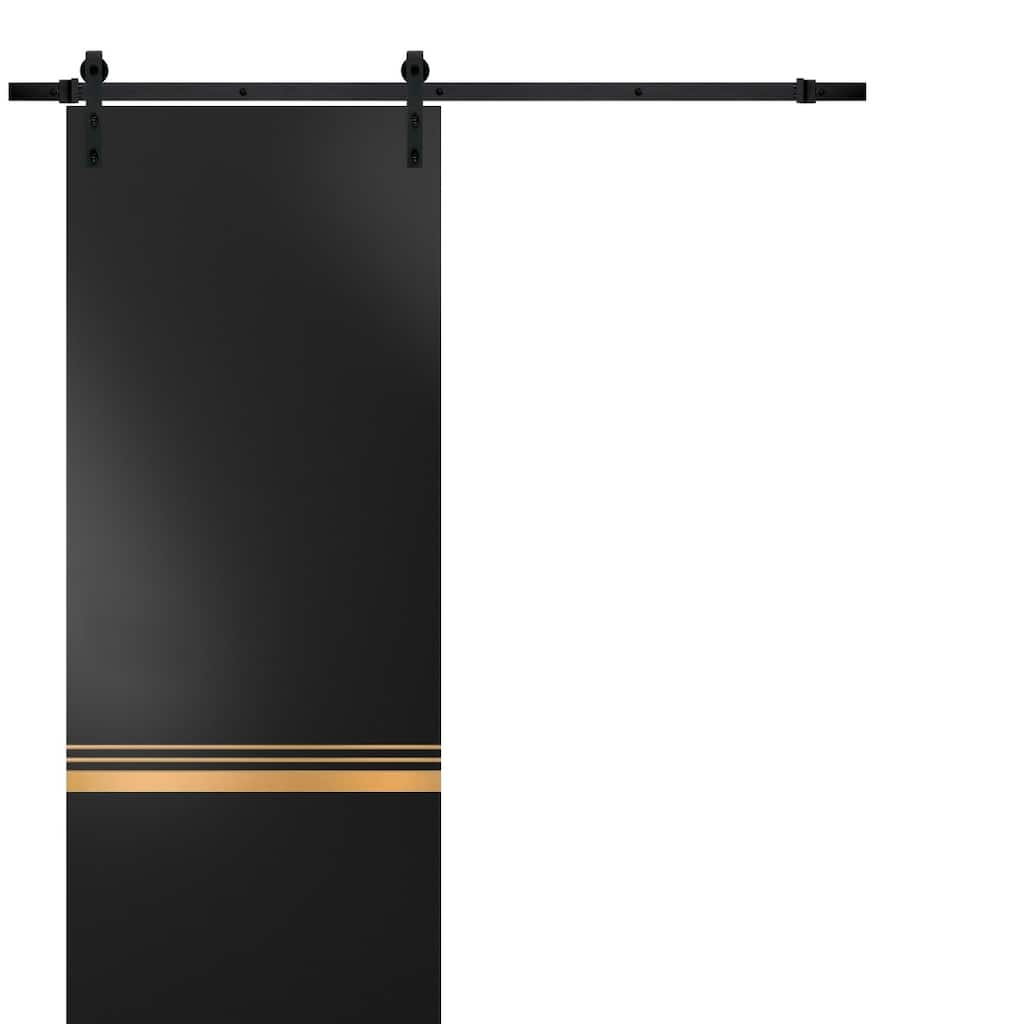 Sturdy Barn Door 18 x 80 Planum 2010 Matte Black with 6.6FT