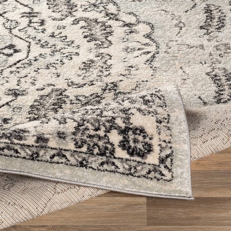 Livabliss Aziza Vintage Bohemian Medallion Area Rug