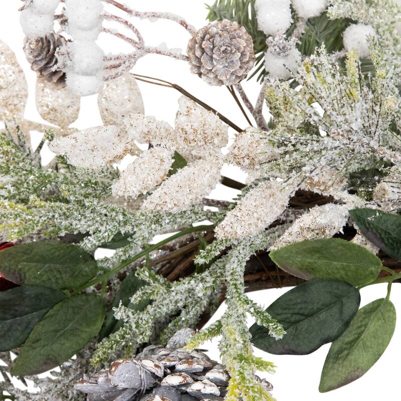 Frosted Pinecones and Berries Artificial Christmas Wreath - 24" - Unlit