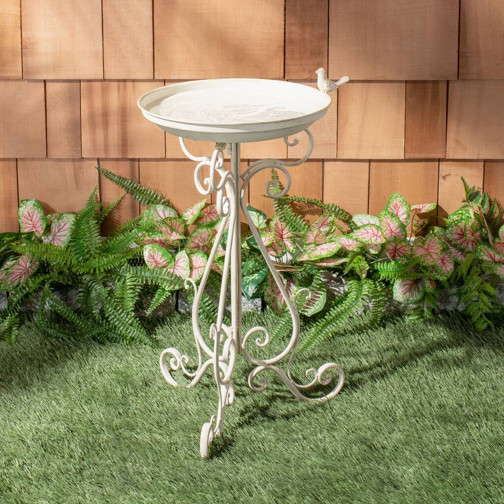 SAFAVIEH Outdoor Amya Victorian Scroll Iron Bird Bath - 16.5" W x 14.6" L x 29.1" H - 17"W x 15"D x 29"H