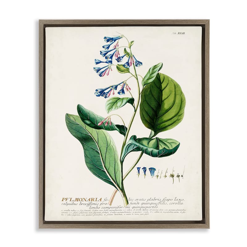 Stupell Botanical Plant Illustration Blue Flowers Vintage Design Floater Frame - Green