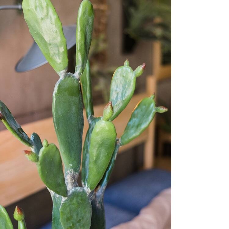 RusticReach Artificial Plant Morelos Cactus