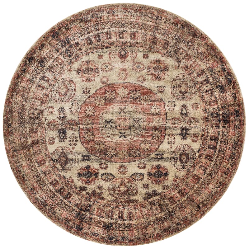 Alexander Home Contessa Traditional Medallion Distressed Rug