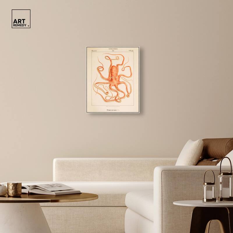 Verany The Octopus 1815 I Canvas by Art Remedy