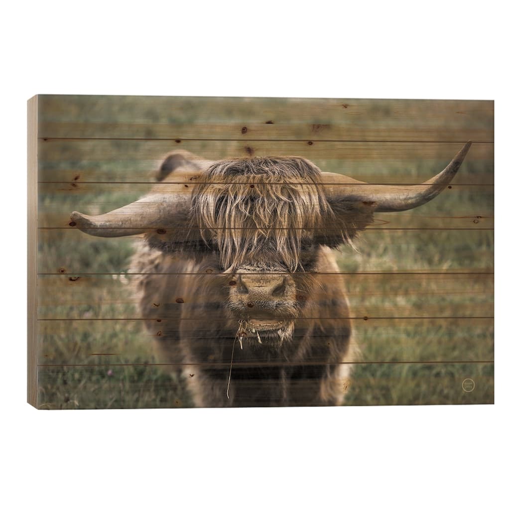 What Print On Wood by Nathan Larson - Multi-Color