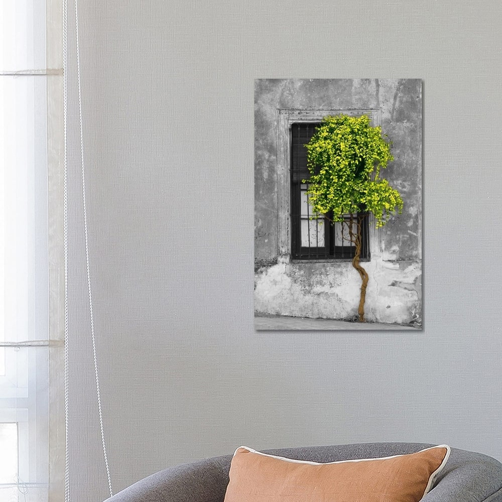 iCanvas "Tree in Front of Window Green Pop Color Pop" by Panoramic Images Canvas Print