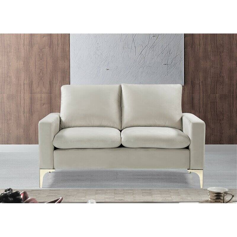 Buchan 54.7'' Velvet Square Arm Loveseat - Cream