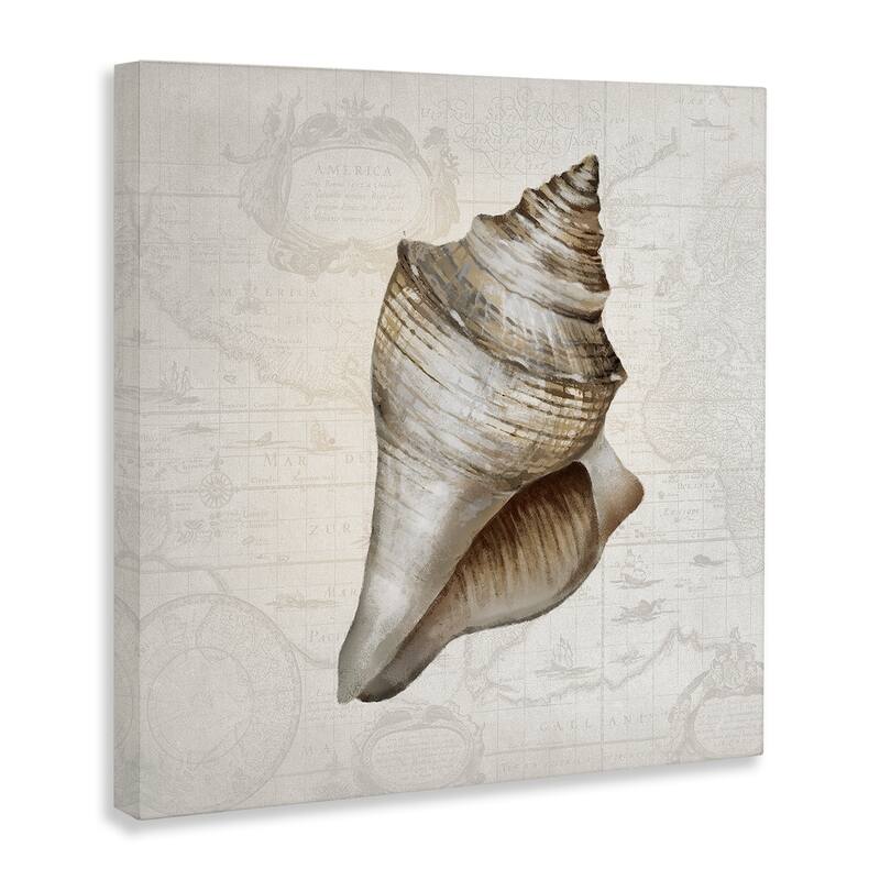 Stupell Conch Shell over Vintage Map Canvas Wall Art Design By Conrad Knutsen