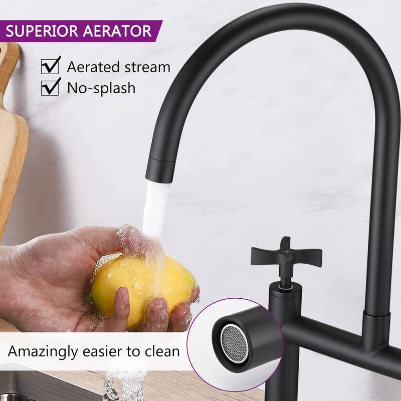 Dornberg Double Handles Bridge Kitchen Faucet with Cross Handles