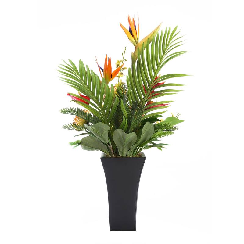 Assorted Tropical Flowers in Black Metal Square Flared Planter - Mutiple color