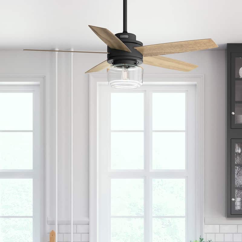Hunter Margo Ceiling Fan w/ LED Light Kit, Handheld Remote - Transitional, Bohemian
