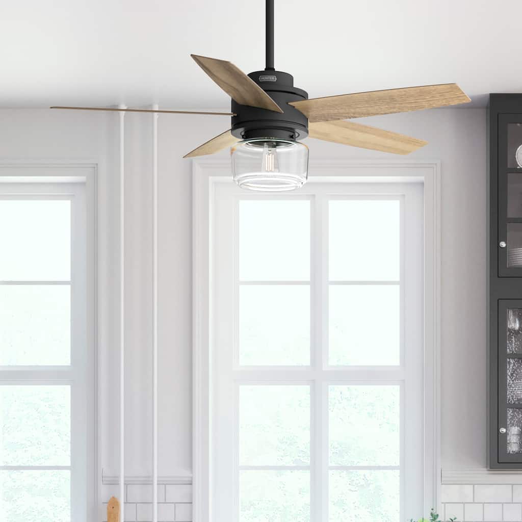 Hunter Margo Ceiling Fan w/ LED Light Kit, Handheld Remote - Transitional, Bohemian