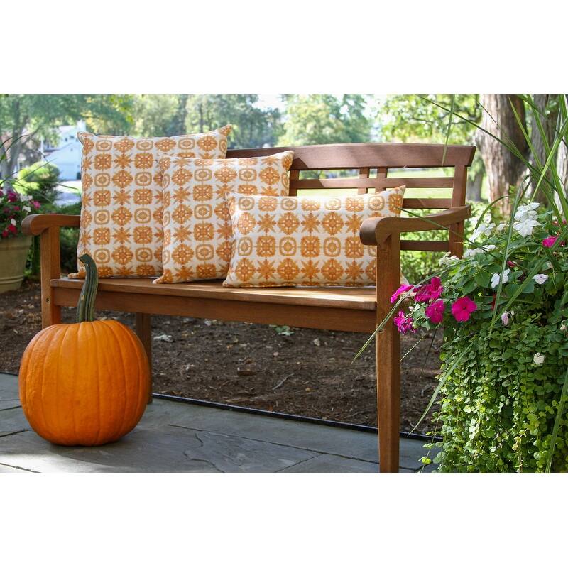 16" x 16" Indoor/Outdoor Throw Pillow, Set of 2 - N/A