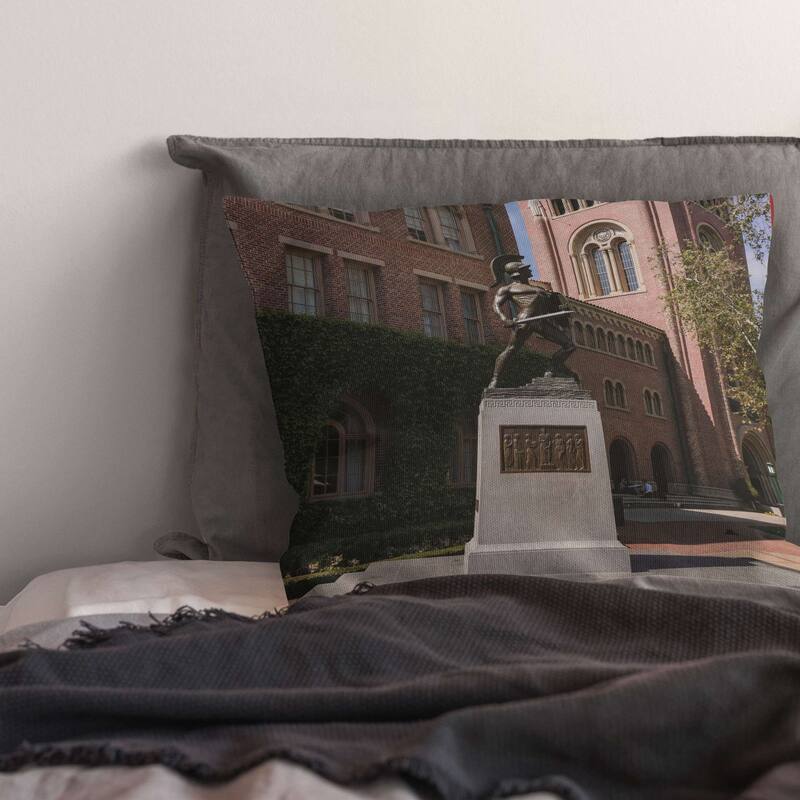 NCAA Campus Crawl 18 Inch Throw Pillow