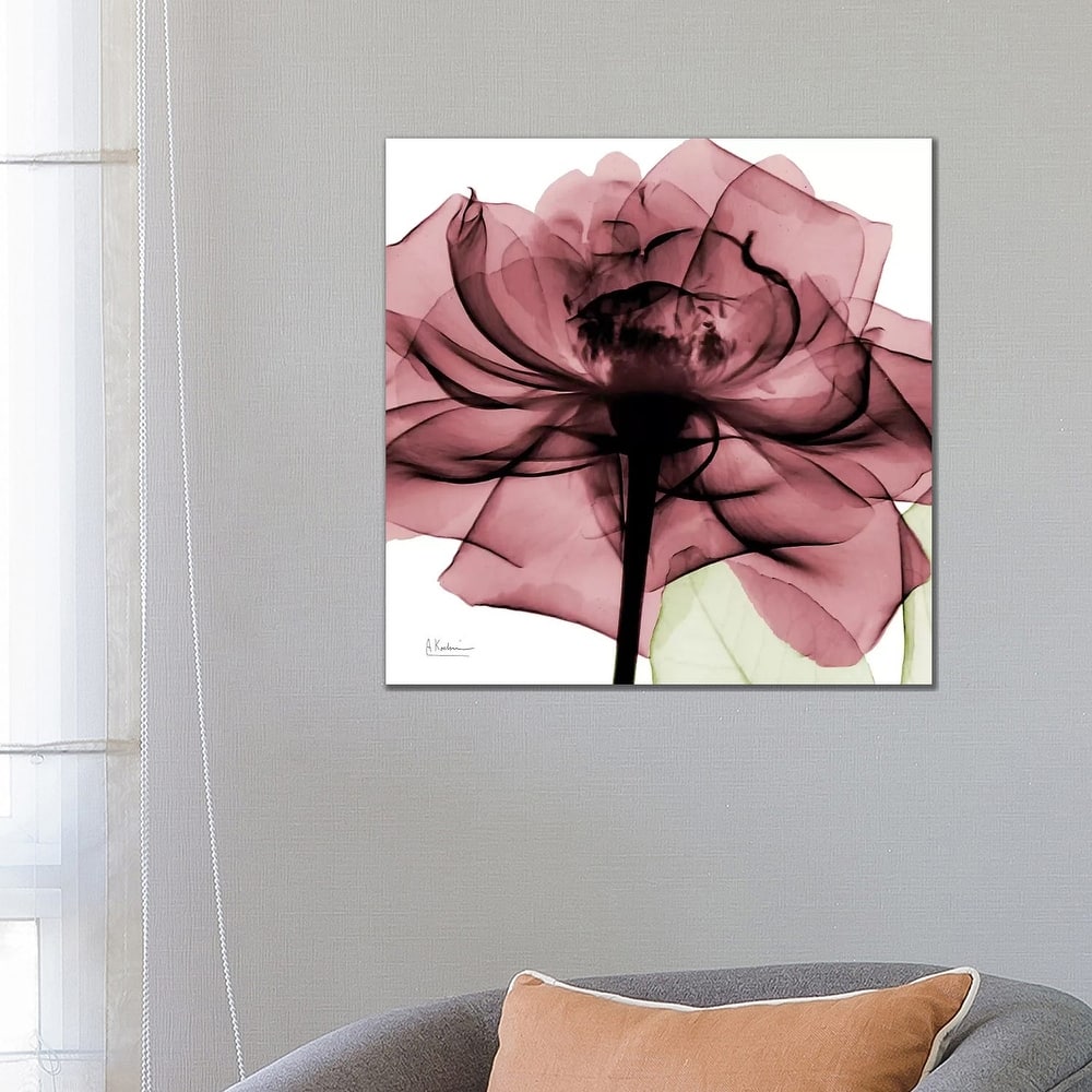 iCanvas "Chianti Rose II" by Albert Koetsier Canvas Print