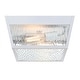 preview thumbnail 9 of 9, Westinghouse Lighting Peterson 12 Inch, Two Light Outdoor Flush Mount Ceiling Fixture