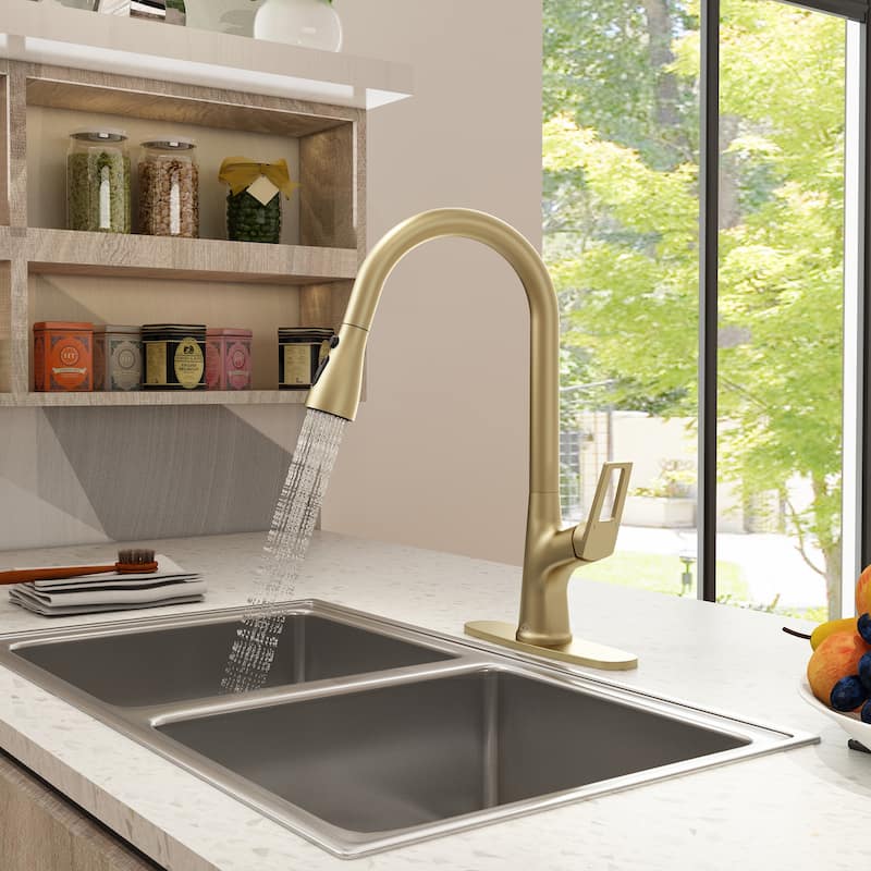 Single-Handle Kitchen Sink Faucet With Pull-Out Sprayer