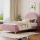 preview thumbnail 3 of 52, Bedroom Velvet Fabric Bed Frame with Classic Semi-circle Shaped Headboard and Metal Legs, Upholstered Platform Bed for Kids